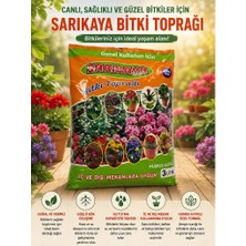 Sarıkaya Bitki Toprağı 3lt-PYZJ-SÜS