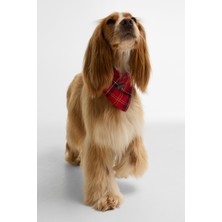 Barbour Tartan Köpek Bandanası TN94 Cardinal Tartan