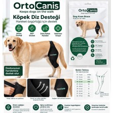 Saf Hobi Ortocanis Köpek Diz Desteği – Xs / Sağ Bacak