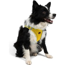 Tailpetz Air-mesh Harness Köpek Göğüs Tasması Sarı