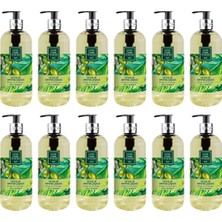 Odea Eyüp Sabri Tuncer Doğal Zeytinyağlı Sıvı Sabun Ayvalık Zeytin Çiçeği 500 ml x 12 Adet