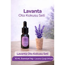 Mi-Ça Home Lavanta Oto Kokusu Seti 2’li – 10 ml Esansiyel Yağ + Lavanta Dalı Difüzör Araç Içi Kalıcı Koku