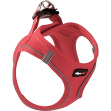 Odea Leon Pet Air Mesh Neon Pembe Göğüs Tasması Medium