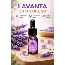 Mi-Ça Home Oto Kokusu Lavanta Aromalı Esansiyel Uçucu Yağ Damlatmalı Koku Difüzörü Esans Parfüm 10 ml