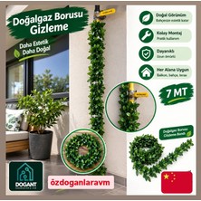 Dogant Dogal Gaz Borusu Demir Gizleme Tel 7 mt Yapay Tel Sarmaşık