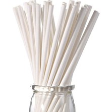 Labazon Kağıt Pipet  (25 Adet)