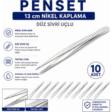 Labolist Penset Düz Sivri Uçlu 13 cm Nikel Kaplama 10 Adet