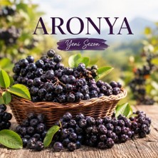 Aronya Organik Taze Meyve 1000 Gr.