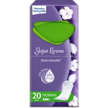 NW NessiWorld Yoğun Koruma Günlük Ped 20 Adet