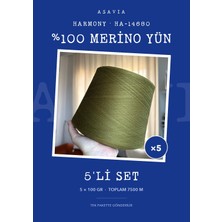 Lana Gatto Harmony Örgü Ipi 5'li Set 5 x 100 gr %100 Merino Yün – HA-14680