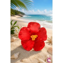 Cinderella Kırmızı Japon Gülü Hibiskus Çiçeği Pens Saç Tokası 10CM - Hawaii Renkli Plaj Yazlık Klipsli Yan Toka