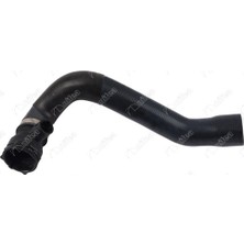 Nifea Nıfea 35556 Radyator Hortumu Alt Bmw S54 M3 E46 11537830715