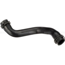 Rapro 16830 Radyatör Alt Hortumu Ford Kuga Iıı 1.5-GTDIECOBOOST-ECOBOOSTE85-ECOBOOST 1890684-1903620-F1F18286DE