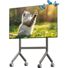 1001 North Bayou P100 65-90 Inch 91 kg 200X200-800X600 Vesa Uyumlu Profesyonel Tv Standı