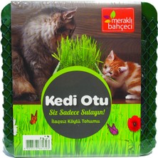 Kut Fly Eden Zirai Kedi Otu Yetiştirme Seti