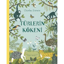 Fantastik Store Türlerin Kökeni