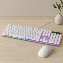 Dorasan USB Kablolu Oyuncu Klavye ve Mouse Seti - Beyaz Rgb