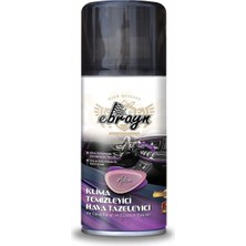 Eco Lounge Ebrayn Klima Temizleyici Klima Bombası Hava Tazeleyici Kokulu 150 ml 1 Adet
