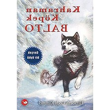Aesco Kahraman Köpek Balto - Ciltsiz