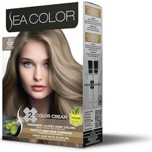 Aesco Sea Color 8.1 Küllü Açık Kumral Set Boya