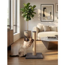 1001 Kedi Tırmalama Tahtası - 42 Cm, Gri