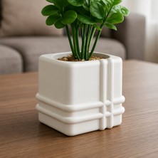 Bezos 3D Baskı Square Planter - Izgara Desenli Küp Saksı-Beyaz