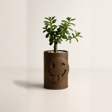 Bezos 3D Baskı Emoji Planter - Göz Kırpan Yüzlü Sukulent Saksısı-Kahverengi