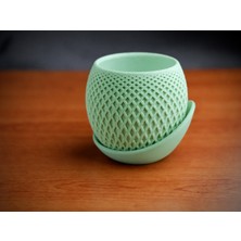 Bezos 3D Baskı Küre Saksı - Kafes Dokulu Iki Parçalı Dekoratif Saksı - Mint-Mint