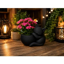 Bezos 3D Baskı Sarılan Kedi Saksı - Sevimli Dekoratif Saksı - Siyah