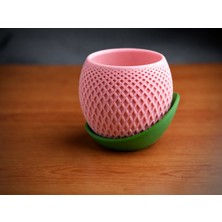 Bezos 3D Baskı Küre Saksı - Kafes Dokulu Iki Parçalı Dekoratif Saksı - Pembe-Yeşil