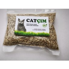 Kedi Çimi Tohumuarpa Buğday Yulaf. (3lü KARIŞIM)%100 Doğal Ilaçsız, (250, Gram)