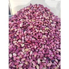 Şire Sandığı Taze Antep Fıstığı 1kg