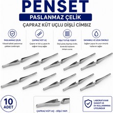 Labolist Penset Paslanmaz Çelik - Çapraz Küt Uçlu Dişli Cımbız 10 Adet