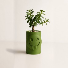 Bezos 3D Baskı Emoji Planter - Göz Kırpan Yüzlü Sukulent Saksısı-Yeşil