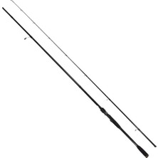 Ryuji Sky Force 2.48MT 4-35GR 2p Spin Olta Kamışı