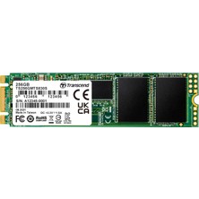 Transcend 256 GB Sata Iıı 6 Gb/s MTS830S 80 mm M.2 SSD 830S SSD TS256GMTS830S, Siyah / Yeşil