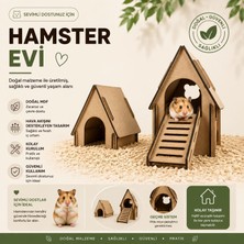 Ahşap Hamster Evi ve Tırmanma Rampalı Oyun Kompleksi - 2'li Modüler Set, Demonte Doğal Ham Mdf