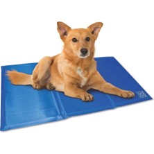 Serinletici Köpek Minderi, 90X50CM, Konfor ve Rahatlık Için Ideal