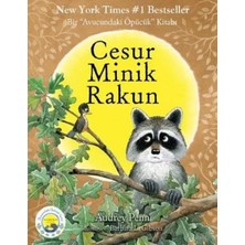 Aydogan's Ady Cesur Minik Rakun