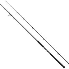 Shimano Currentsniper Xr 3.05M Max Jig 120GR - Plug 100GR Shore Jig Olta Kamışı