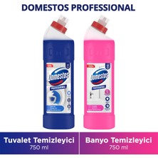 Domestos Professional Asidik Banyo Temizleyici 750ML X1 Domestos Asidik Tuvalet Temizleyici 750ML X1