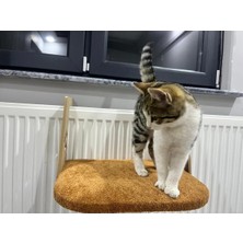 Yumuşak Peluş Kedi Yatağı, Sıcak ve Konforlu Petek Isıtıcı Yatak