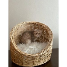 Konforlu ve Şık Büyük Boy Kedi Köpek Sepeti, Ev Için Rahat Seçenek