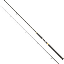 Daiwa Legalis Shore Jigging Cf 305CM 60-120GR Olta Kamışı