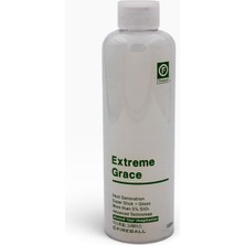 Fireball Grace Sio2 Sealant Boya Koruma
