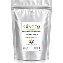 Gingo Civan Perçemi Ekstresi (Toz) 1 kg