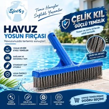 Efedoz Havuz Yosun Fırçası Çelik Telli Fırça