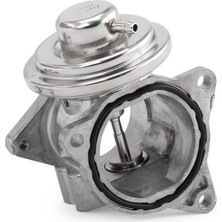 Volkswagen Ngk Egr Valfi 038131501AN Golf5 Jetta Passat A3