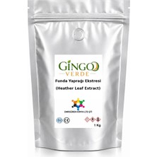 Gingo Funda Yaprağı Ekstresi (Toz) 1 kg