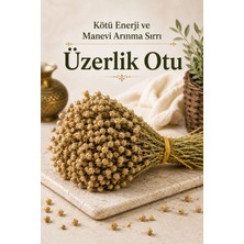 Gülçehre Yörem Afyon Kötü Enerji ve Manevi Arınma Sırrı Üzerlik Otu, Nazar Otu (Peganum Harmala) | 1 Demet